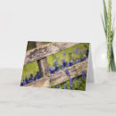Recherche de bluebonnets vœux cartes Printemps