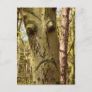 Recherche de esprit forêt cartes postales Magique