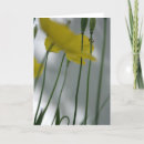 Recherche de salutation de n photographie Floral
