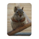 Recherche de mûr magnets Mignon