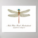 Recherche de mouettes art Aquarelle