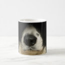 Search for dog nose mugs Animal