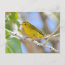 Search for wilson postcards Tree