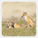 Search for den stickers Swift fox