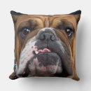 Recherche de bouledogue anglais coussins Amoureux des chiens