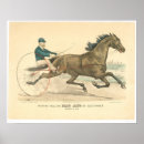 Recherche de trotteur posters Animaux