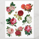 Recherche de roses scrapbook paper Fleurs