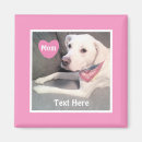 Search for easters magnets For her