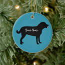 Search for black lab ornaments Pet