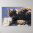 Search for bedding art Animals