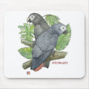 Search for congo electronics Grey