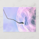 Search for sperm postcards Magnification