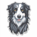 Search for collie dog stickers Cartoon