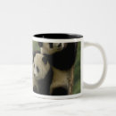 Search for temperate mugs Asia