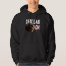 Search for chocolate brown hoodies Retriever