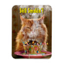 Recherche de anniversaire drôle magnets Humour
