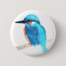Search for kingfish buttons Wildlife