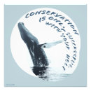 Search for ocean animals posters Wildlife