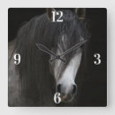 Recherche de sang horloges Chevaux
