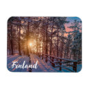Search for sun ray magnets Forest
