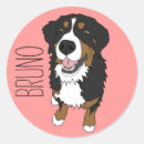Search for mountain dog stickers Bernese