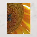 Recherche de bourdons cartes postales Fleurs