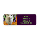 Search for with cats return address labels Fantasy