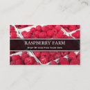 Recherche de framboise cartes visite Fruit