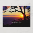 Search for sunet Nature