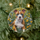 Search for staffy ornaments Dog