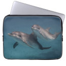 Search for dolphin picture electronics Dolphins
