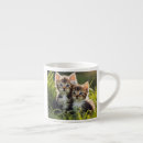 Search for cuddly cat mugs Kittens