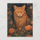 Recherche de fleur gingembre cartes postales Chat