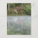 Search for pink sunrise postcards Lake
