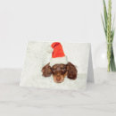 Search for hound christmas cards Doxie