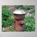Search for fire hydrant Old