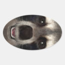 Search for animal face stickers Raccoon