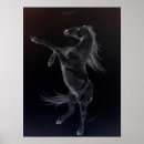 Recherche de friesian posters Équin