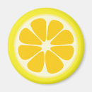 Search for lemon magnets Slice