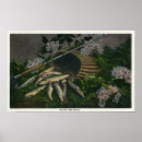 Search for trout posters Lantern