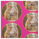 Search for funny cat fabric Cute