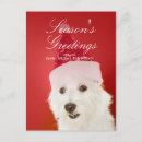 Search for people christmas cards Pets