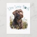 Search for cute chocolate lab puppy postcards Dog breed