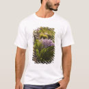 Search for brewster clothing Big