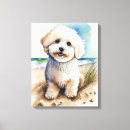 Search for bichon frise art Watercolor