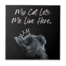 Search for cat tiles Animal lover
