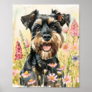 Recherche de miniatures posters Schnauzer
