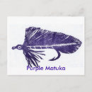 Recherche de fly cartes postales Mouche