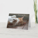 Search for cute missing you cards Orange cat