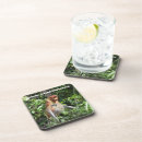 Search for monkey drinking barware Monkeys